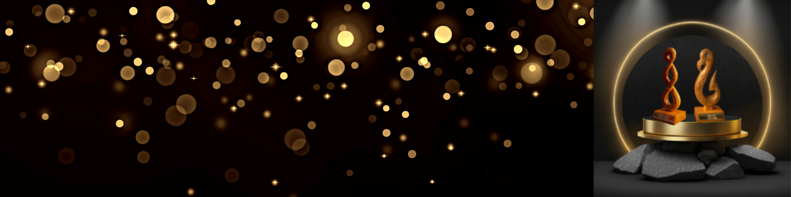 2025 HSR awards website banner 1